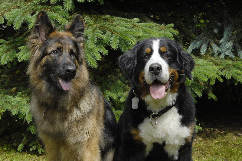 Anton Miela_DDB9378 Kopie.jpg